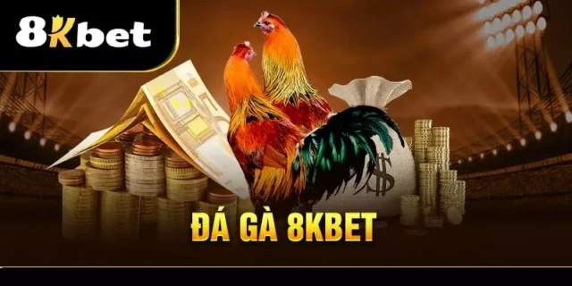 Lý do đá gà 8KBet thu hút người chơi hiện nay