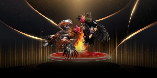 Những lưu ý khi theo dõi trực tiếp đá gà cựa sắt 8kbet